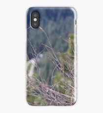 Brush iPhone Case
