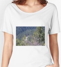 Brush Women's Relaxed Fit T-Shirt