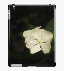 Dew Drops iPad Case/Skin
