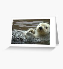 Baby Otter Greeting Card