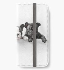 Over The Wall iPhone Wallet/Case/Skin