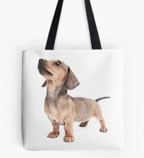 Dachshund Standing Tall Tote Bag