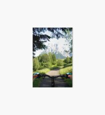 Mountain bike Trail Art Board Print