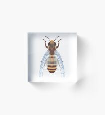 European Honeybee Acrylic Block