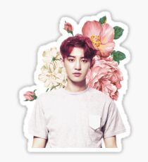 Park Chanyeol Sticker