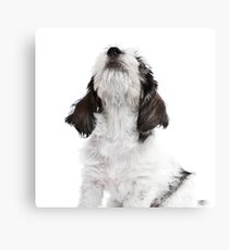Snoopy Canvas Print