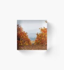 Autunm Acrylic Block