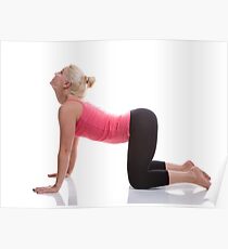 Dog Pose Poster