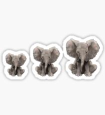 Baby Boo Trio Sticker
