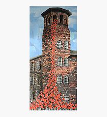 Poppies Silk Mill Derby Photographic Print