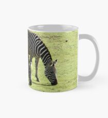 Zebras im Frühling Tasse