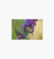Sipping Nectar Art Board