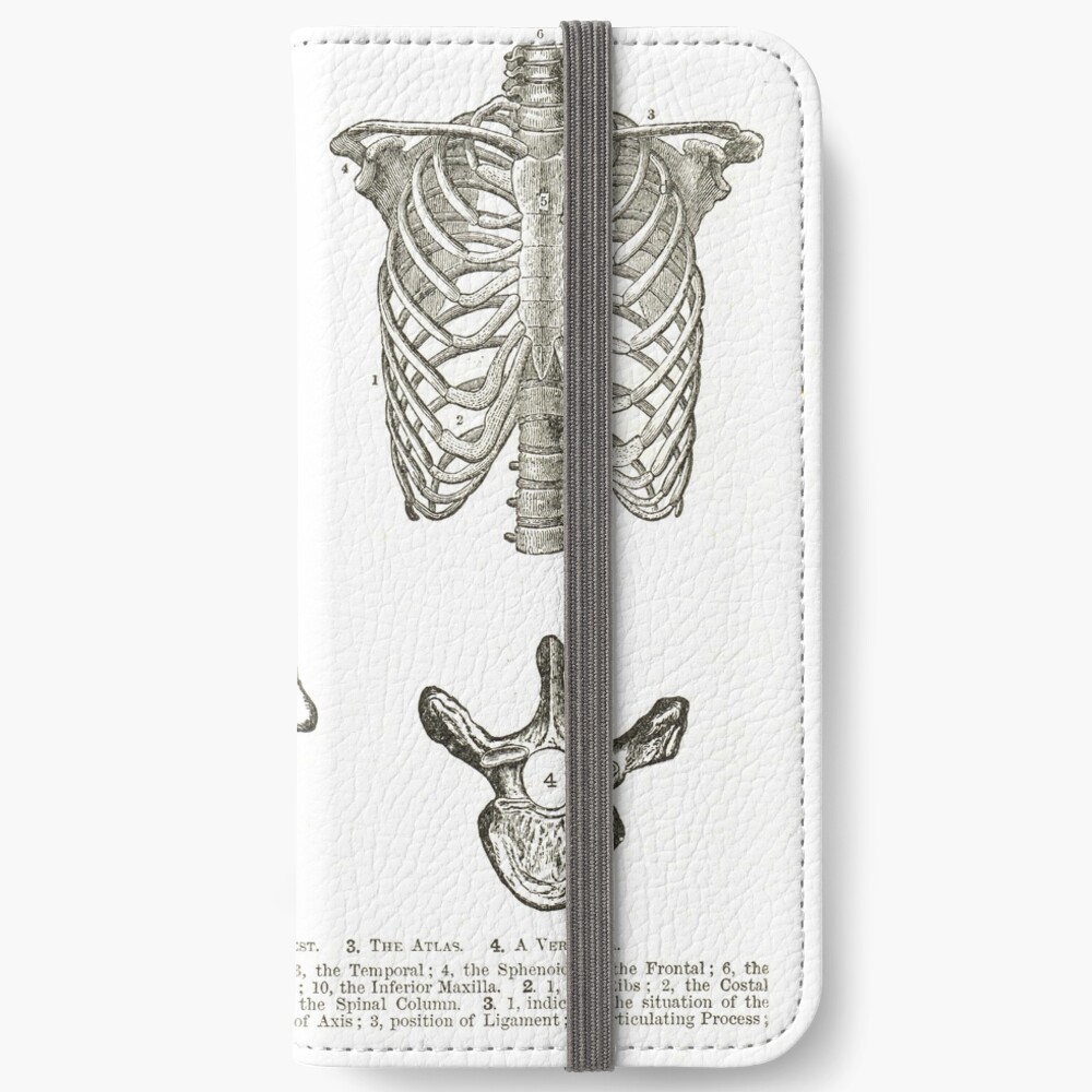 Human Anatomy 19th Century Diagrams Human Skull Thorax The Atlas And Vertebra Iphone Wallet