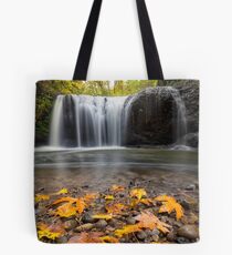 Fall Maple Leaves at Hidden Falls Tote Bag