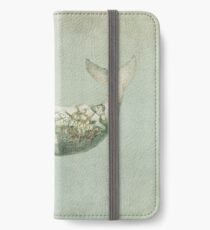 Far and Wide iPhone Wallet/Case/Skin