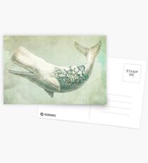 Far and Wide Postcards
