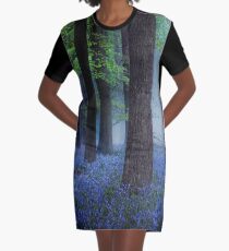 Misty Blue Graphic T-Shirt Dress