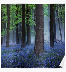 Misty Blue Poster