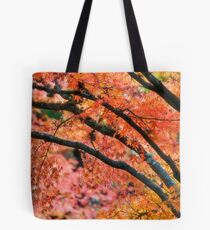 Kaleidoscopic Tote Bag