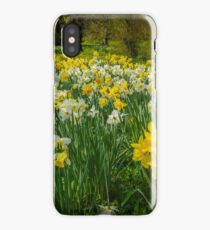 Daffodils iPhone Case/Skin
