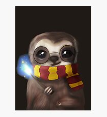 Harry Sloth Photographic Print