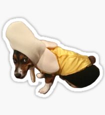 Banana Corgi Sticker
