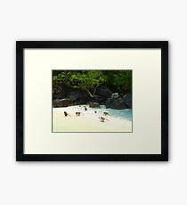 Monkey Beach Framed Print