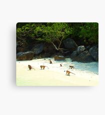 Monkey Beach Canvas Print
