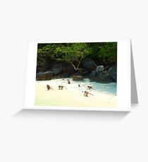 Monkey Beach Greeting Card