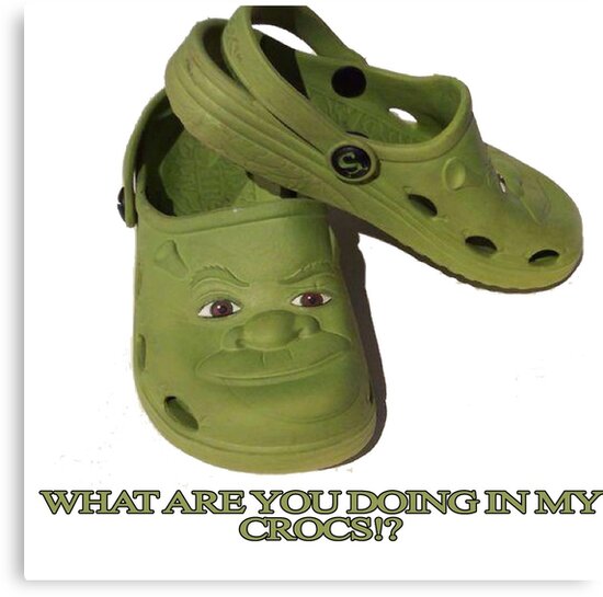 shrek crocs amazon