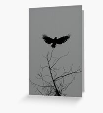 Gray Morning Greeting Card