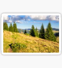 conifer forest in mountains at sunrise Sticker