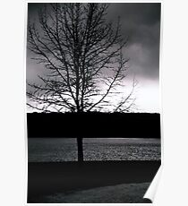 Impending Storm Poster