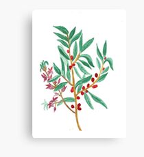 Botanical Canvas Print