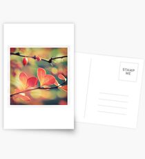 - Goodbye Summer - Postcards
