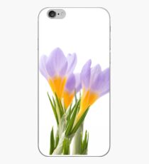 Blue crocus iPhone Case