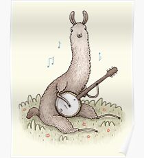 Banjo Lama Poster