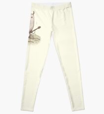 Legging Banjo Llama