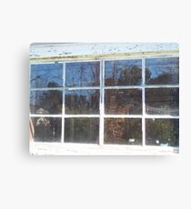 Reflection Canvas Print