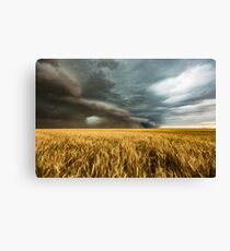 Earth Mover Canvas Print