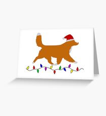 Nova Scotia Duck Tolling Retriever Christmas Cards Greeting Card