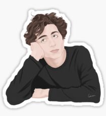 Timothée Chalamet illustration Sticker