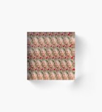 DONT YOU START WITH ME LOVIE! Acrylic Block