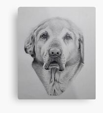 Alf Metal Print