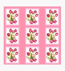 9 bunches of Pink Tulip Flowers by Kristie Hubler Photographic Print