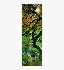 On High Photographic Print