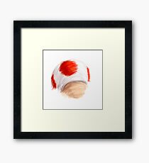 Toadstool! Framed Print