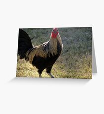 Are You Talking To Me? Greeting Card