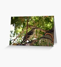 Say Cheese Greeting Card