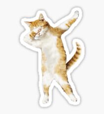 Dabbing Cat Kitten Funny Dab Tee Cool Dance Kitty Sticker
